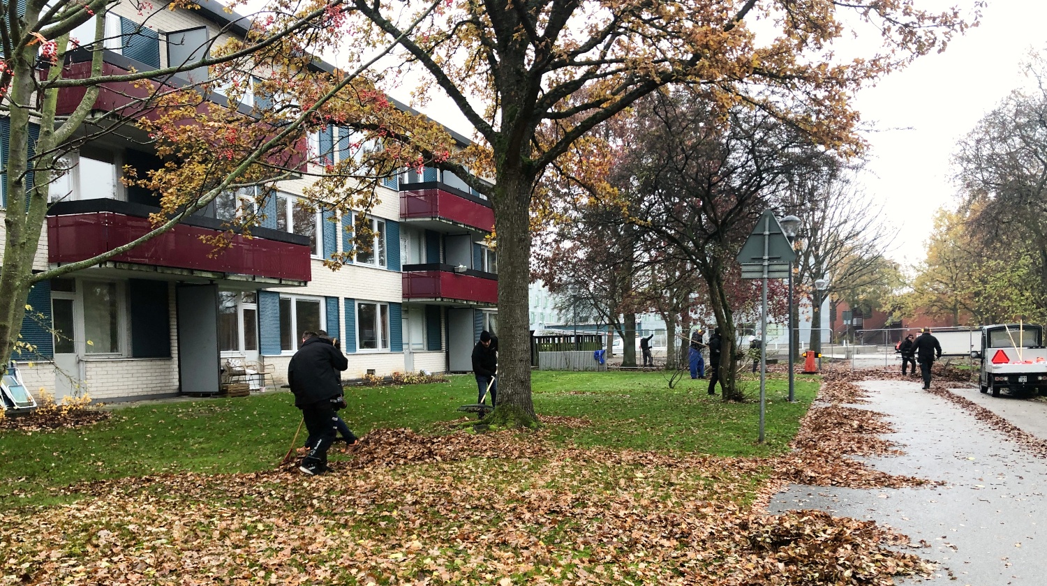 Medarbetare krattar ihop löv på Kämnärsrätten. 